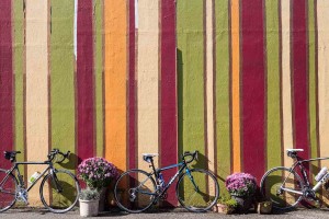 Bikes in Forest Grove in Oregon's Tualatin Valley