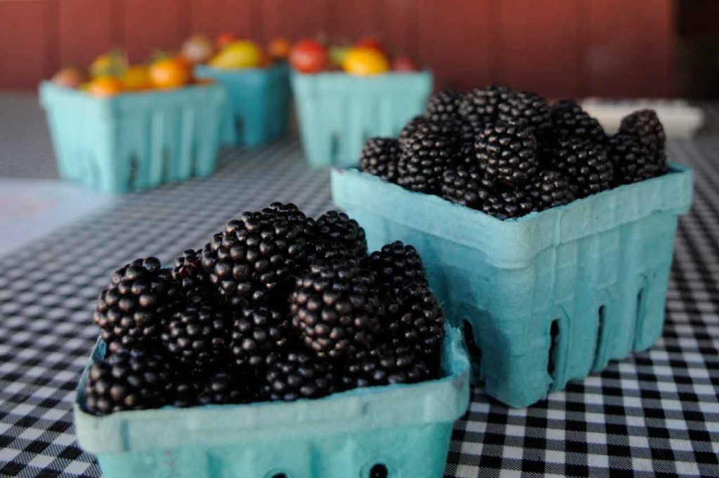 Blackberries from Smith Berry Barn in Hillsboro in Oregon's Tualatin Valley