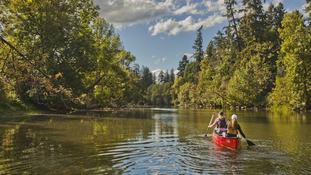 Canoeing on the Tualatin River in Oregon, outdoor recreation