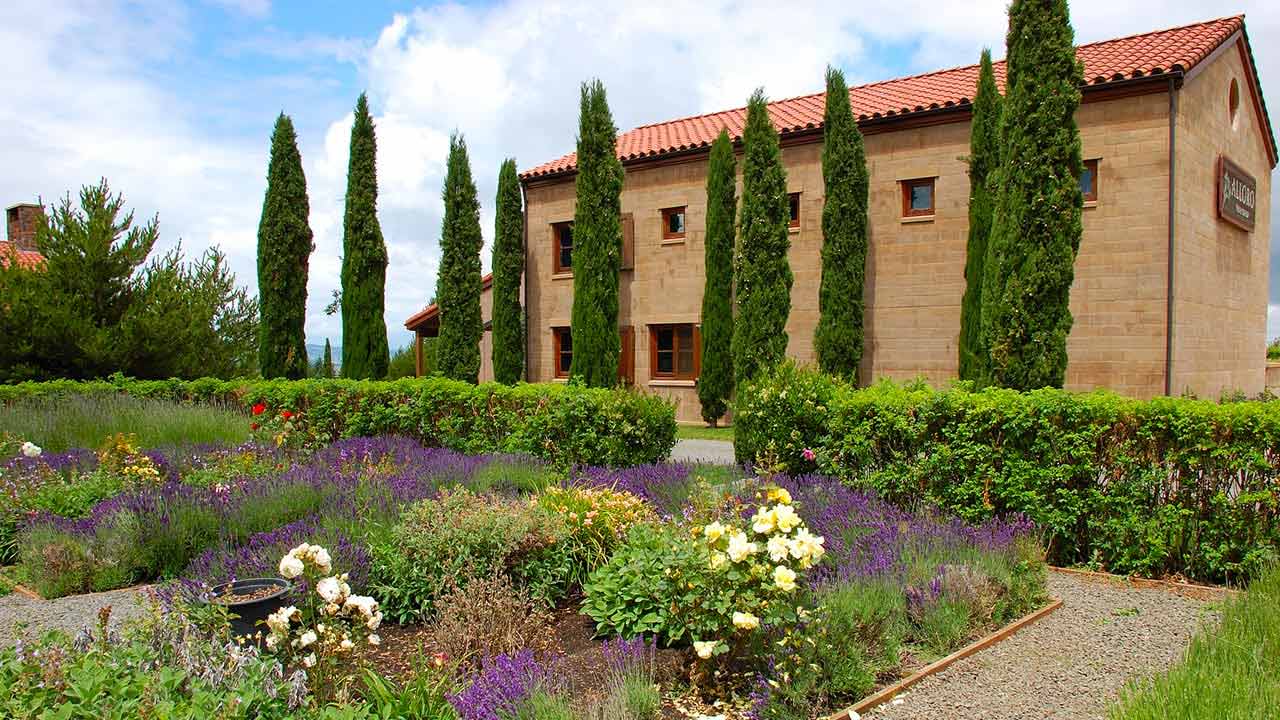 vineyards oregon alloro