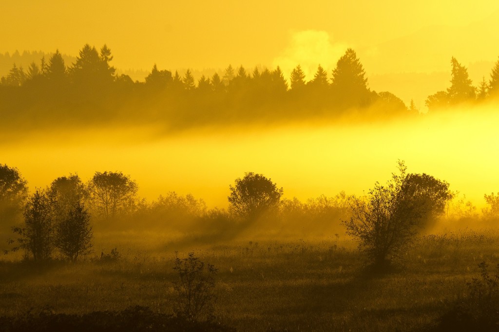 Tualatin River National Wildlife Refuge in Sherwood in the Tualatin Valley