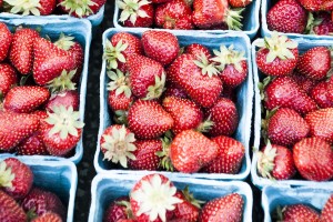 Oregon farm tours with strawberries