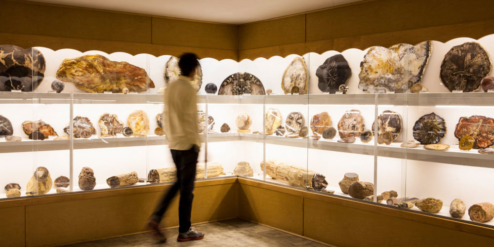 man looking at rocks inside a museum