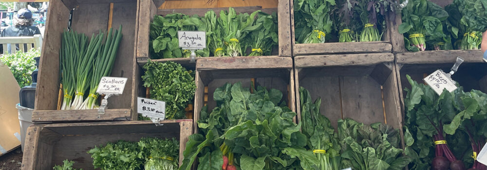 Summer day at the Beaverton Farmers Market