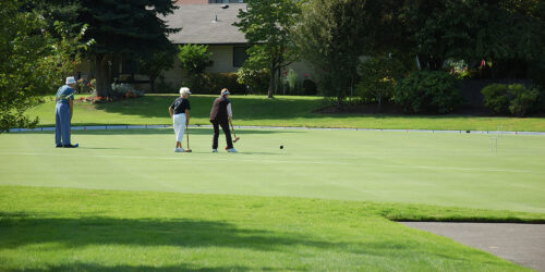 Tee Up! The Fairways Are Picking Up Speed