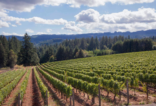 Wineries and Vineyards