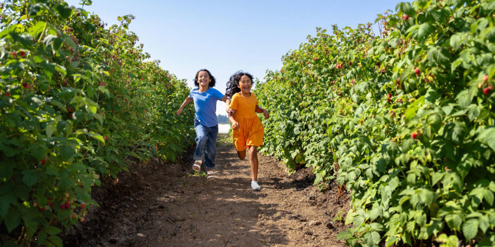 two girls running through raspberry field