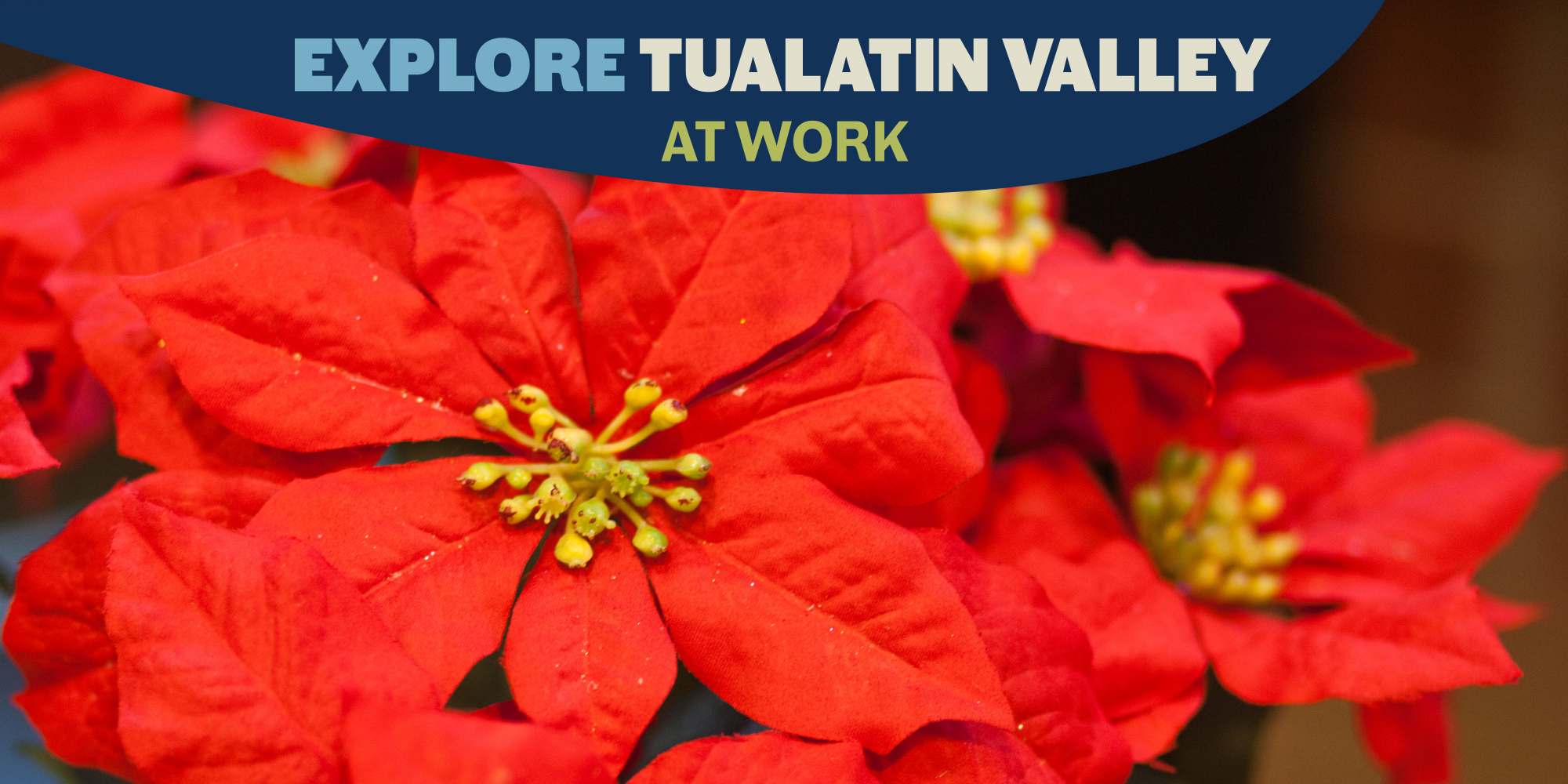 Tualatin Valley At Work - Dec '23