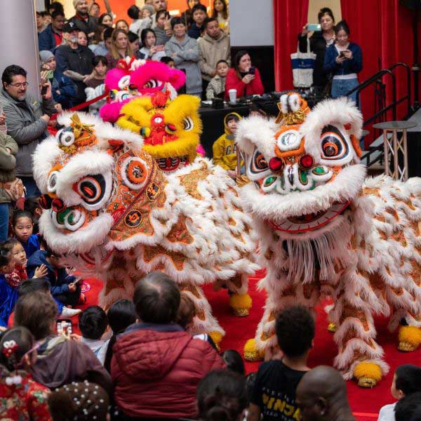 chinese dragon dancers performing in front of a crowed