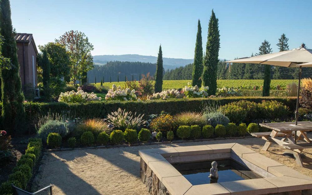 view from a winery tasting room over tualatin valley