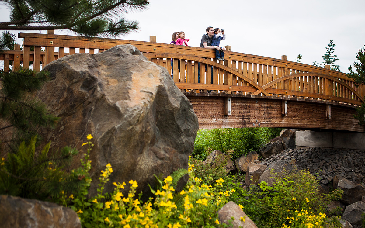 image of a family on a bridge birdwatching