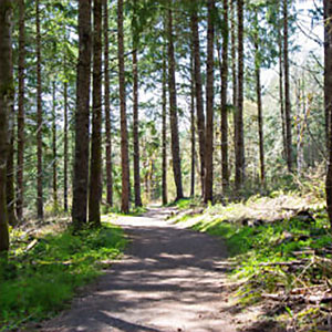 trail trail