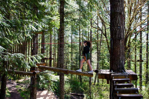 Tree to Tree Adventure Park Image of a young woman crossing a elevated obstacle course.