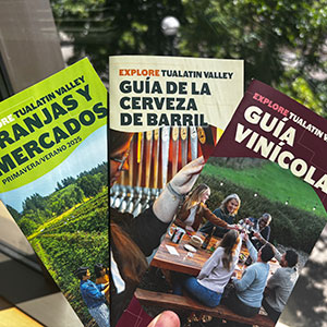 spanish guides
