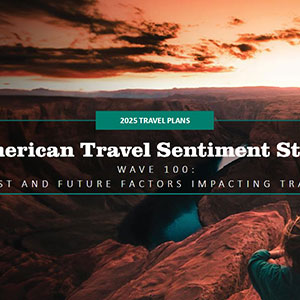 2025 travel sentiment