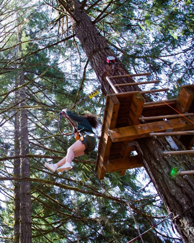 Come play in the trees! 

The Tree to Tree Adventure Park in Gaston, Oregon offers myriad adventures for the whole family, such as aerial ropes courses, ziplining and a tree-top bungee plunge.

The link in our bio has more info on this tree-top adventure.

#TualatinValley #zipline #ziplining