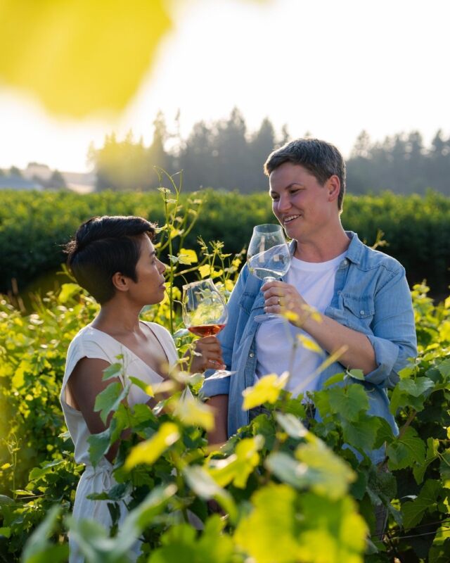 May is Oregon Wine Month and we sure know how to celebrate wine in Tualatin Valley!

With so many wineries, tasting rooms, and events to choose from, it's time to get sippin'! 🍷

Visit the link in our bio to learn more!

#TualatinValleyWine #SpringWing