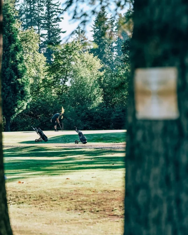 The sun is out, which means golf season has officially commenced in Tualatin Valley. Grab your clubs, grab the family or a friend, and get swingin’. 

🏌️ @killarneywestgolfcourse

📷 @crgolfworld
