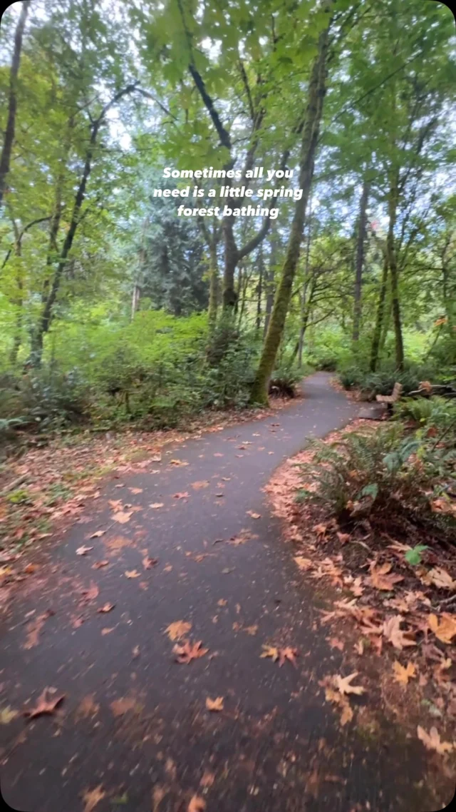 Nothing beats being surrounded by Tualatin Valley’s green hues in the spring. What’s your favorite hike in the area this time of year?

📍 Tualatin Hills Nature Park

#TualatinHillsNaturePark #TualainValley