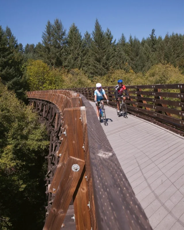 Happy National Ride a Bike Month! We don’t think it’s a coincidence that May was chosen for such an activity. Celebrate by cycling on one of Tualatin Valley’s bike-friendly trails: 

🚲 Banks Vernonia State Trail

🚲 Tualatin Valley Scenic Bikeway

🚲 Henry Haag Lake

🚲 Cyclists can even camp overnight at L.L. Stub Stewart State Park!

Check out the link in our bio for more details for each of these locations, and get out there!