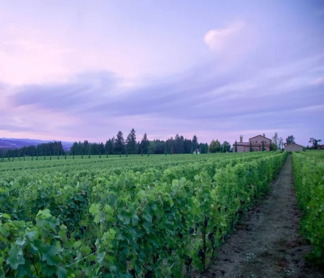 Cheers to summer in Tualatin Valley! Today marks the longest day of the year. How are you enjoying it?