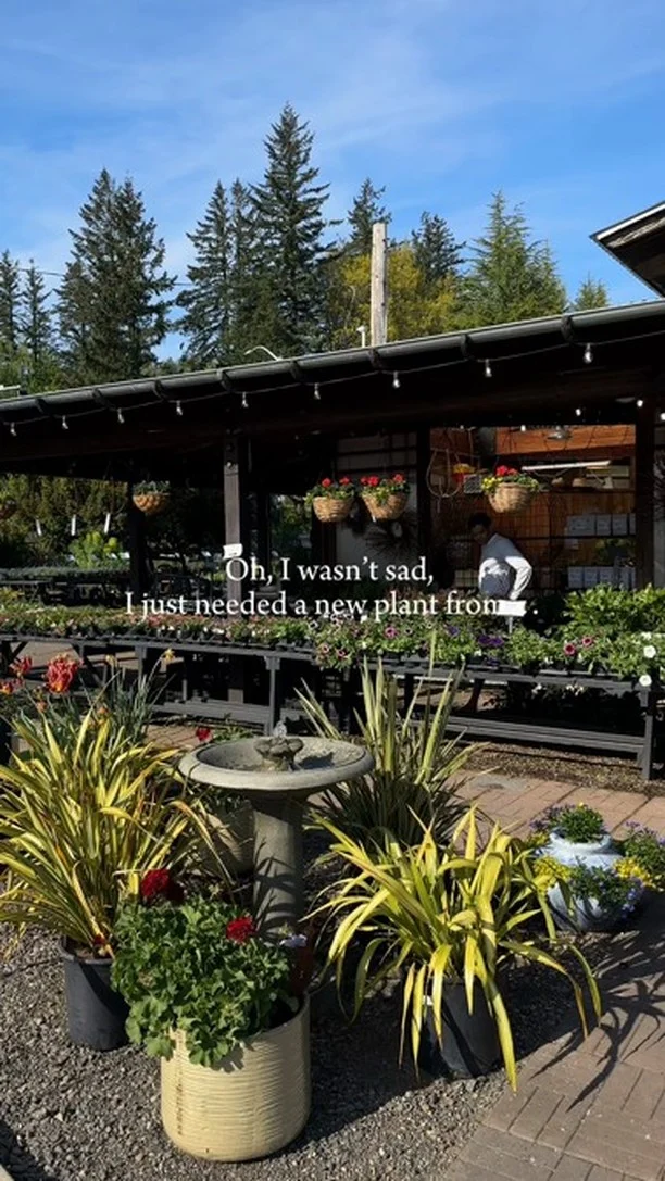 Check out Cornell Farm Nursery and Cafe, the cure to a bad day and the perfect addition to a good one. 

@cornellfarm
📍 8212 SW Barnes Rd, Portland, OR 97225