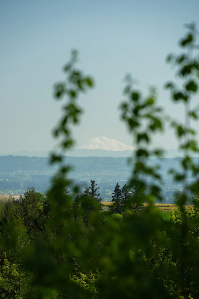 Big views + quiet trails = pure Tualatin Valley. 

Explore peaceful forested paths and soak in stunning views like this at Chehalem Ridge Nature Park, a must-visit for lovers of the outdoors! 

📷 @evkev