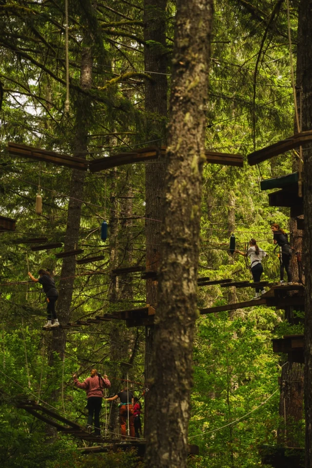 Elevate your next adventure (literally and figuratively) at @treetotreeadventurepark! From zip lines to aerial challenges, this forested obstacle course is the perfect combination of thrill and fun. 

📷 @evkev