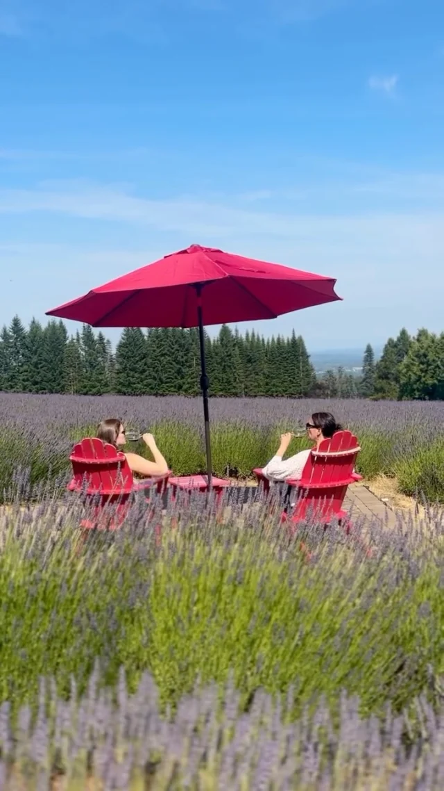 Pure Tualatin Valley magic awaits at @CarriageHouseLavender — with fields of fragrant blooms and summer in full color.