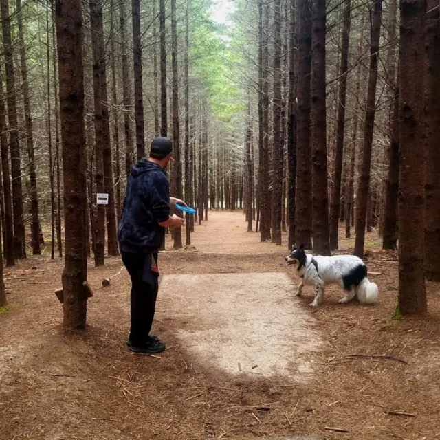 Tee off in the trees @horningshideout! This enchanting park just outside of North Plains has wooded fairways, tranquil vibes and disc golf courses for every level. Plus, you can fish or rent paddle boats during your visit. 

📍 21215 NW Brunswick Canyon Rd
North Plains OR 97133

📷 hasta.la.siracha
