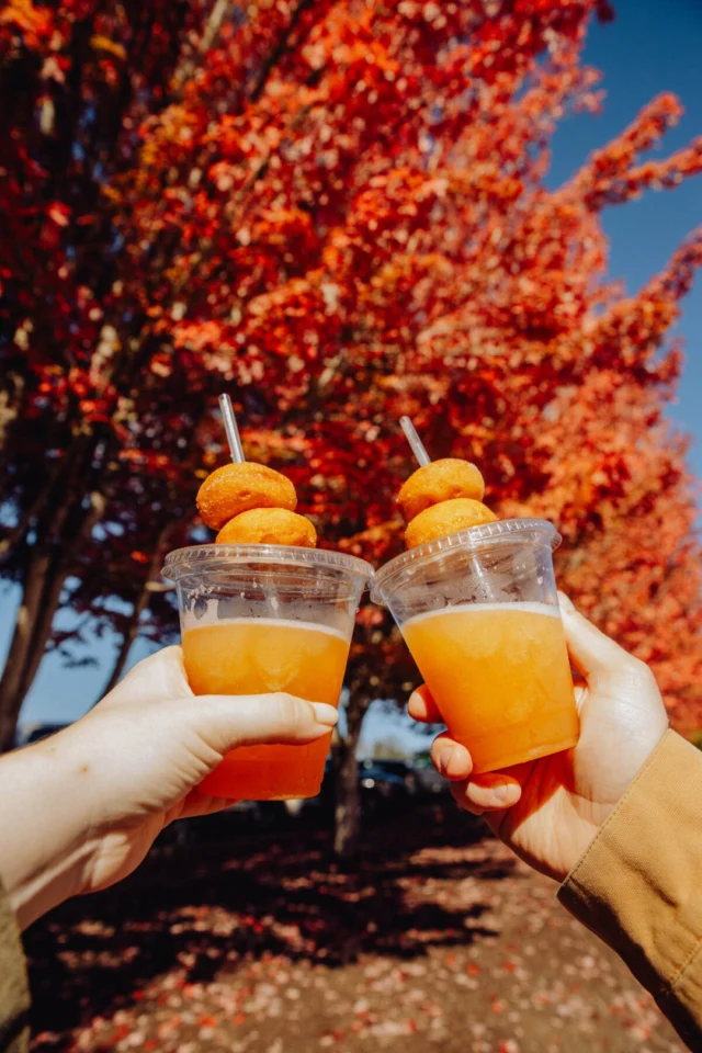 Cheers to sweater season in Tualatin Valley! Cozy up with crisp air, colorful leaves, and all the fall vibes this autumn.