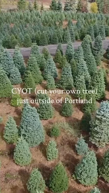 Sweet trees are made of these! It's almost time to get the house decorated for the holidays and tree farms in Tualatin Valley are about to open, so you can pick out the perfect tree to take home.

Hours and availability may be limited, so be sure to check with your favorite farm before you go. Make this holiday season merry and bright with a fresh, locally-grown tree!