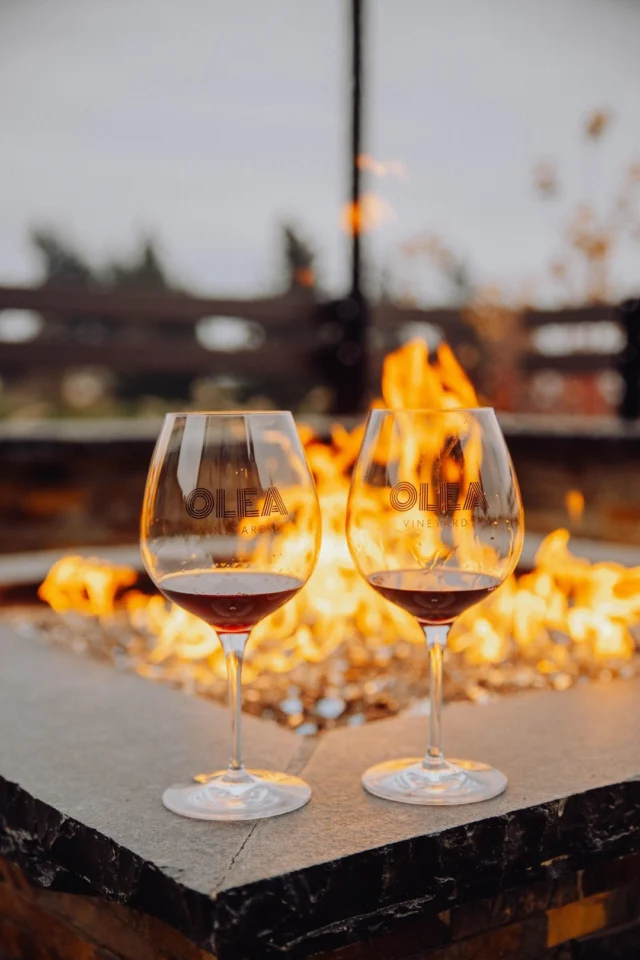 Some gifts are meant to be shared, and wine is definitely one of them. From cozy dinners in to celebratory toasts, a great bottle turns these moments into memories. Give the gift that brings people together this holiday season!